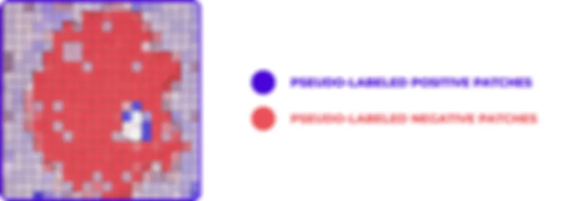 Automatic identification methods